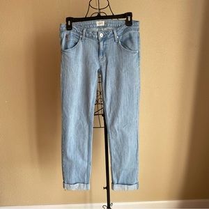 Hudson Bacara Crop Straight Leg Jeans Size 27